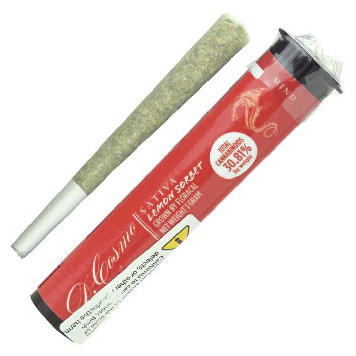 CANNONS: LIME SHORBET X CHEDAWG SHATTER PRE-ROLL (INDICA) (2 X 1G PRE-ROLL) image 0
