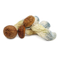 Penis Envy Mushrooms ($8.49 Per Gram) image 0
