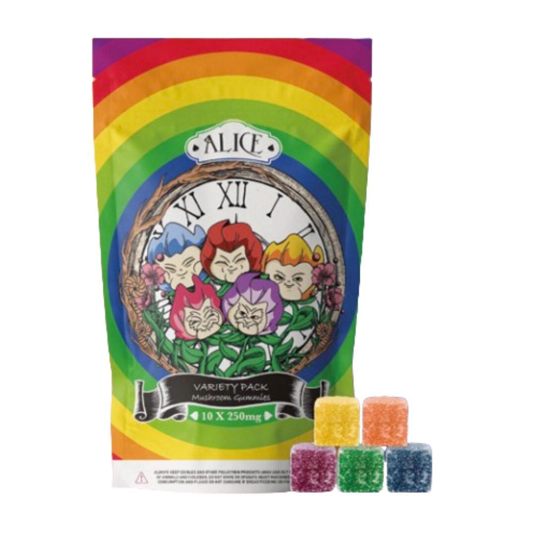 Alice Mushroom Gummy – Variety Pack (2500mg Golden Teacher) image 0