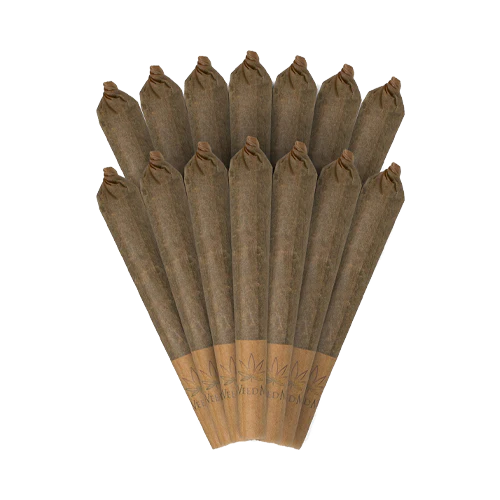 Pack of 10 - AAA+ Pre Rolls - Hybrid image