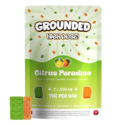 Grounded High Dose Bricks | Citrus Paradise - 2000mg THC image 0