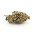 1 Ounce Deal -  AA+ MAC 10