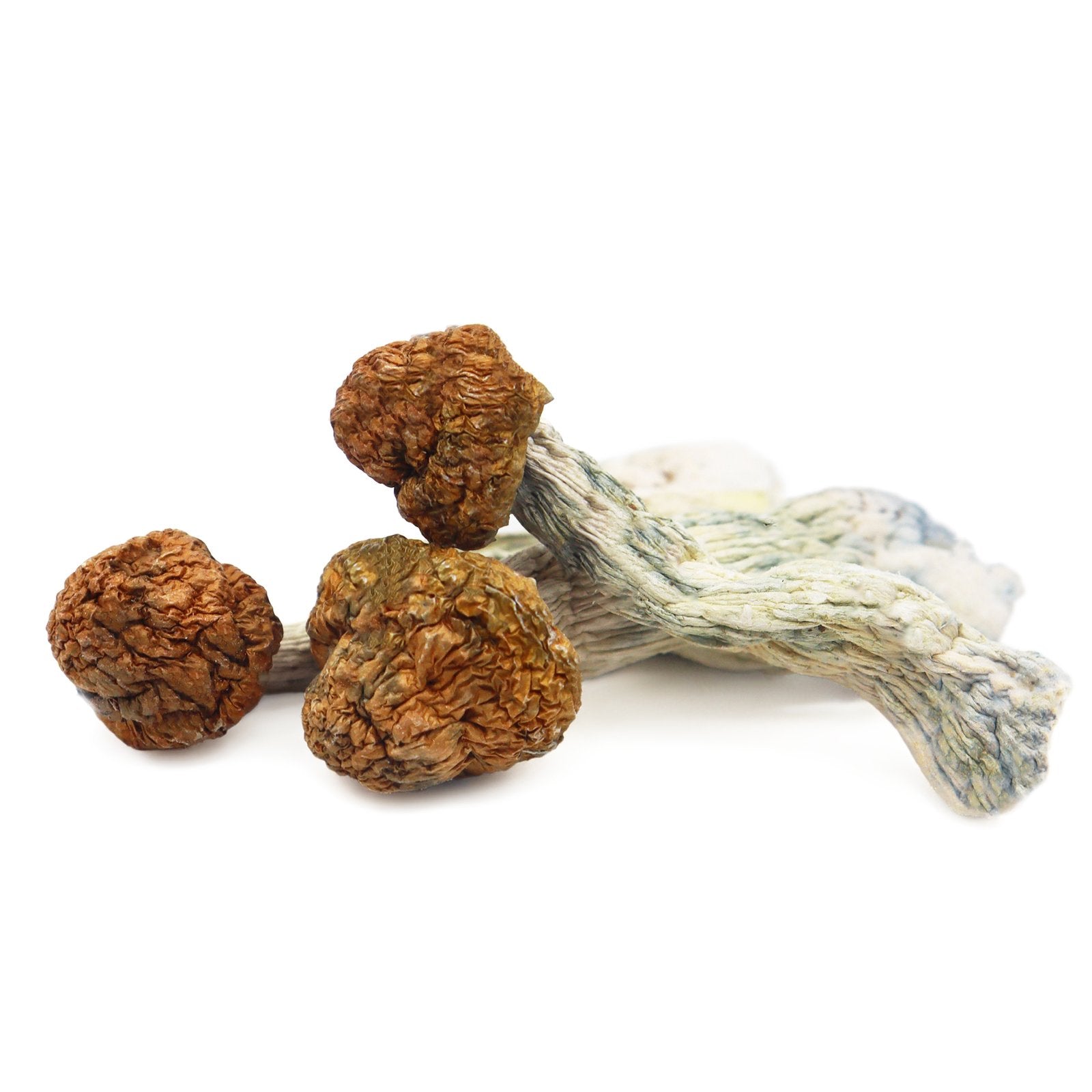 Trinity Magic Mushrooms ($12.49 Per Gram) image 0
